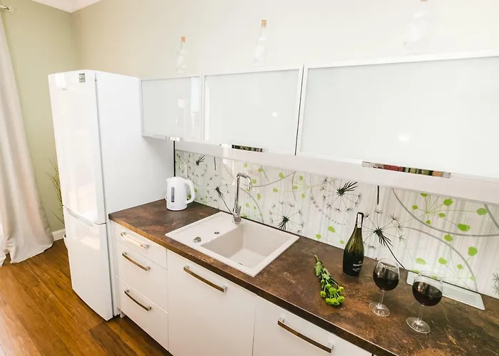 Neptun 46 - 2 Sypialnie, Klimatyzacja 公寓 奥尔什丁